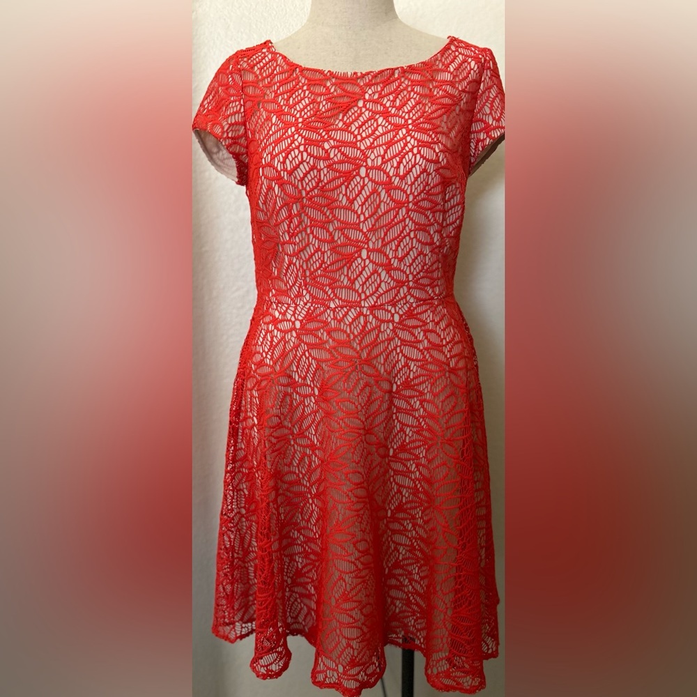 Taylor Red Lace Dress